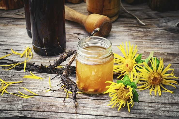 Propriétés curatives de l'élécampane